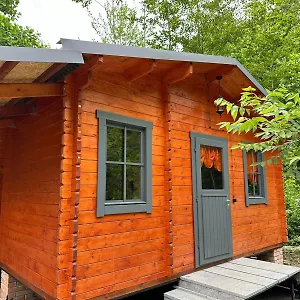  Дом отдыха Dream House